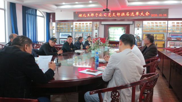 2020年10月28日，公司党支部召开换届选举大会，大会选举余红霞同志为公司党支部书记.JPG